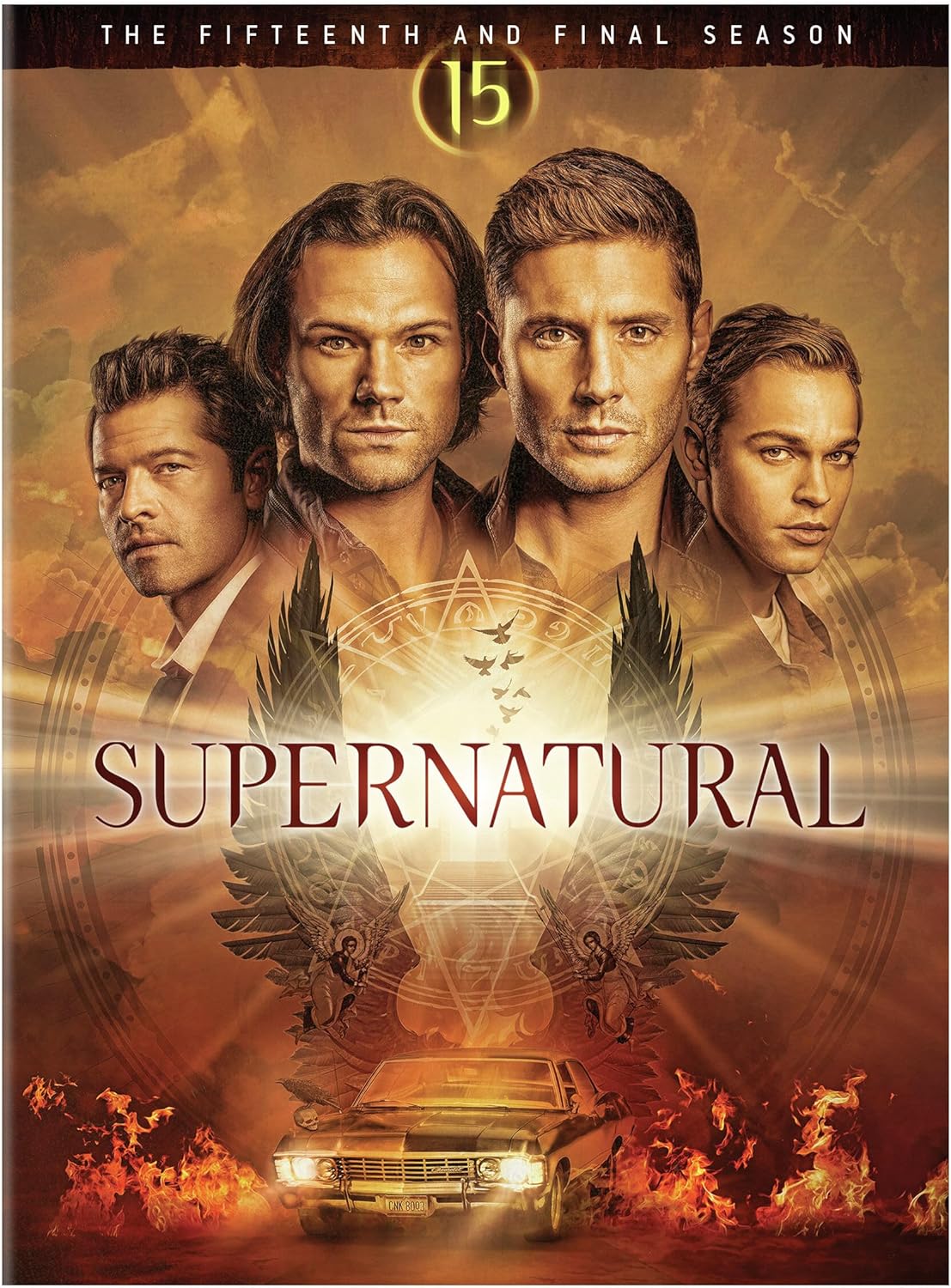 dvd