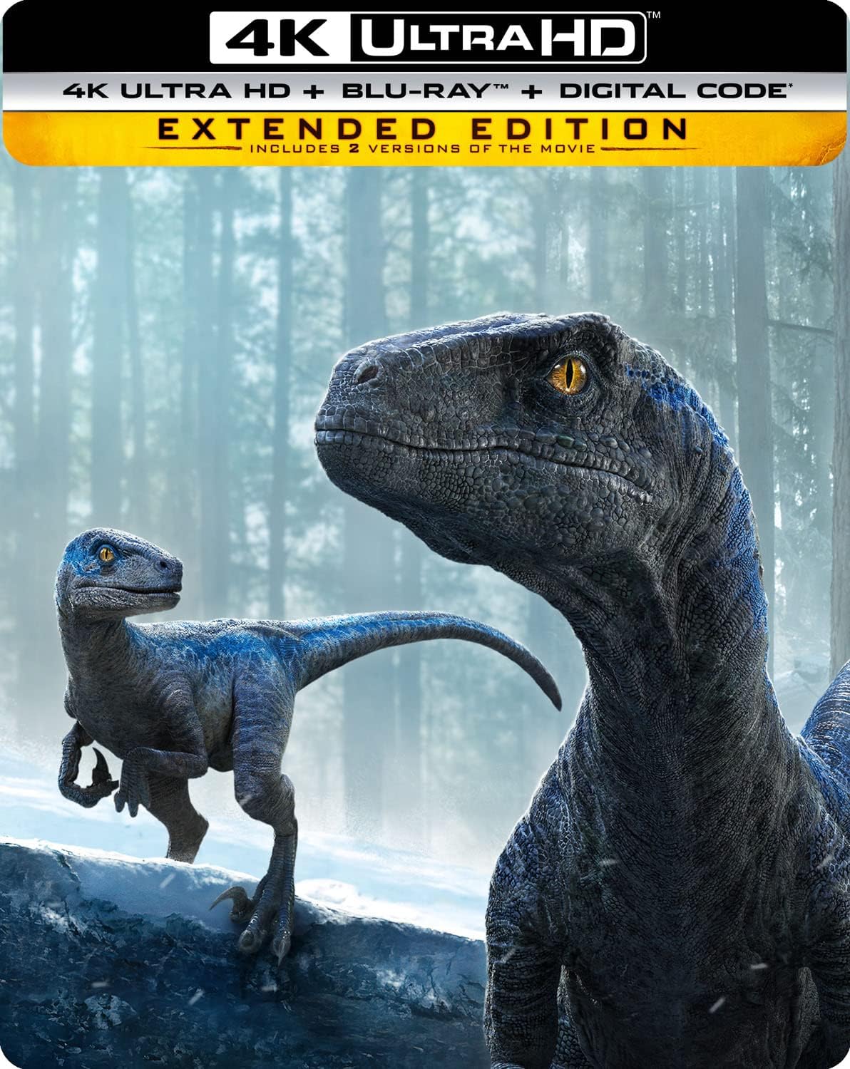 steelbook