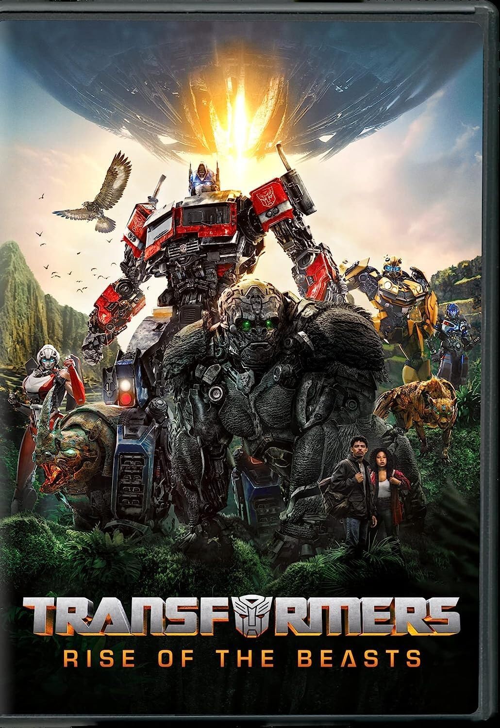 dvd